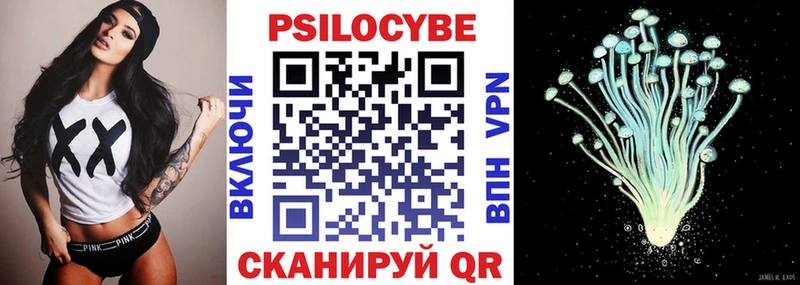 Псилоцибиновые грибы Cubensis  Купить закладки  Колпашево 